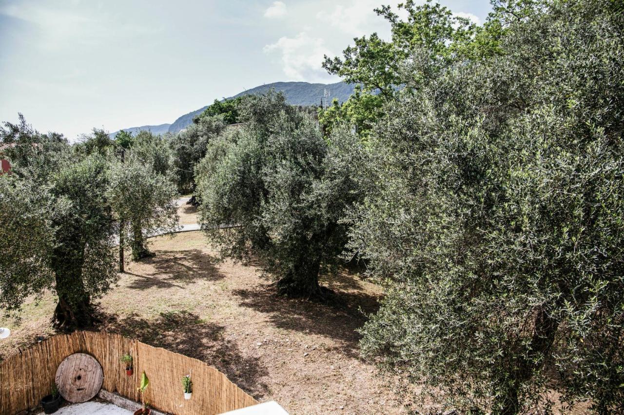 Affittacamere Tune Activity Guesthouse- Over 24's